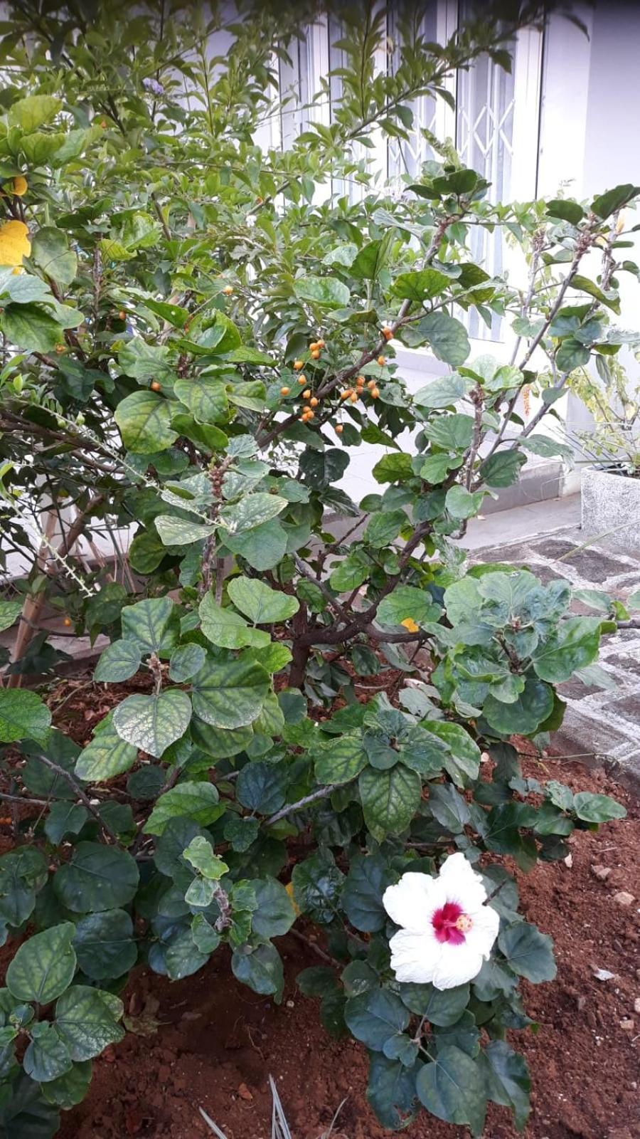 Mahebourg Family Home מראה חיצוני תמונה